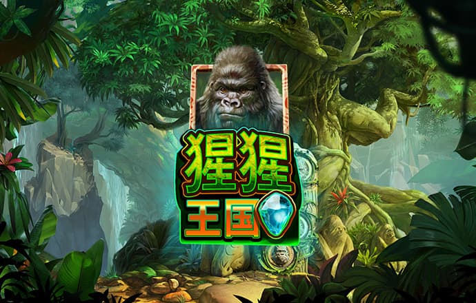 龙珠体育官网入口app